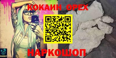 шишки Кингисепп
