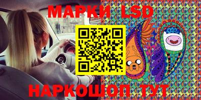 шишки Кингисепп