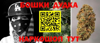 шишки Кингисепп