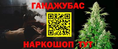 шишки Кингисепп