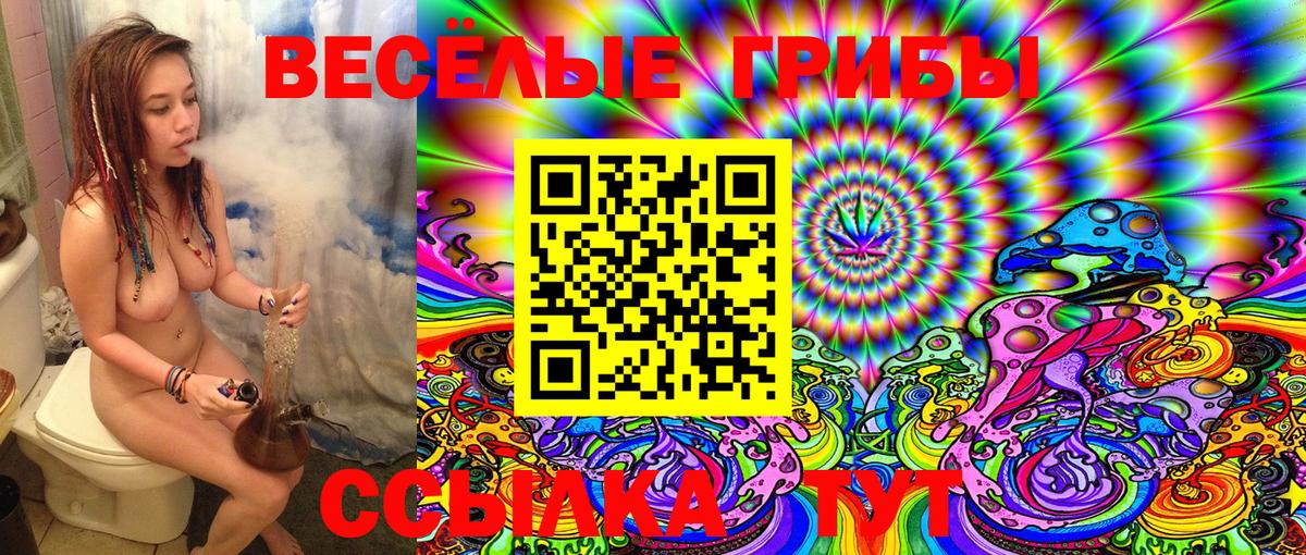 закладки  Псилоцибиновые грибы Psilocybine cubensis  Вход с VPN  Галлюциногенные грибы прущие грибы  Жигулёвск 