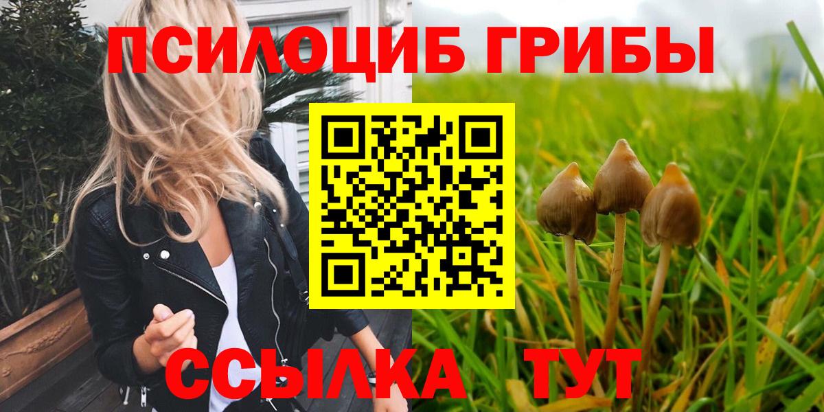 Галлюциногенные грибы прущие грибы Жигулёвск